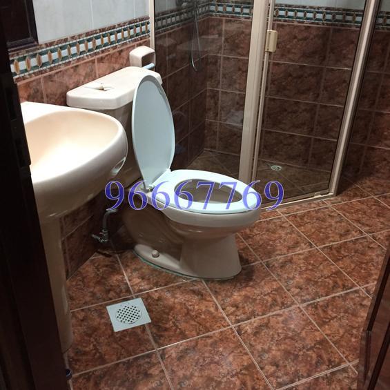 Tanglin Regency (D10), Condominium #133798472